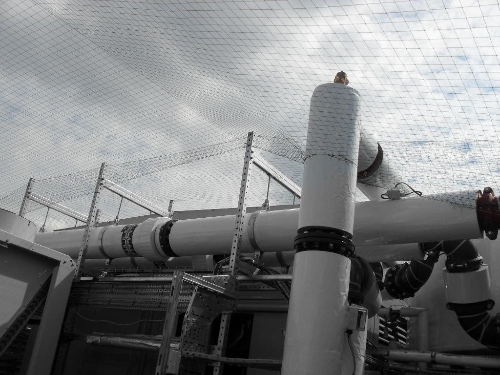 Bird Control in Barnsley, South Yorkshire